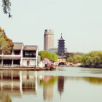 �Ϻ�����һһ