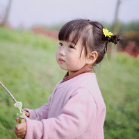 ��ɹ�������¡�+����ë������