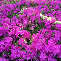 ���쵽�����ǻ�����ʱ��