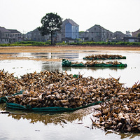 ���ߵı����ˮ��