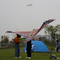 �����ڣ��칫�������������Ƿŷ��ݵ����ޣ�