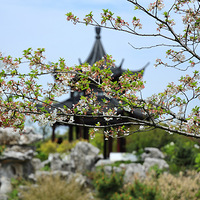 С����衢����������������ˣ