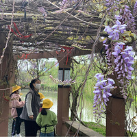 ������������д������