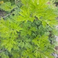 ����������һ��һ������������Σ�ԭ��Ҳ��