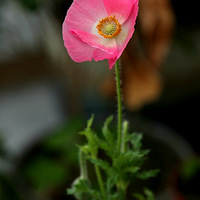 һ�굽ͷ������������Ҫ���Ļ��ɡ�