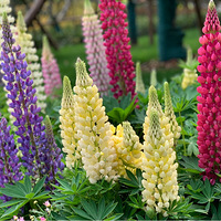 ����֮�������ݴ���