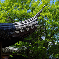 ����÷����