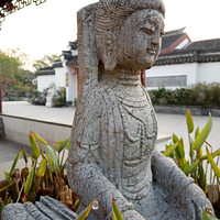 ��ɫ--�Ϻ���԰