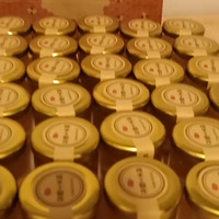 �ԼҲ�Ұ������