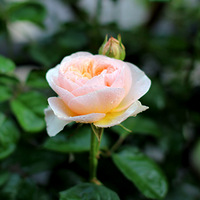 ��̨���¼�½��������