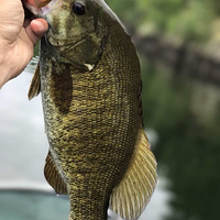 ǧ����,���㽭ǧ����