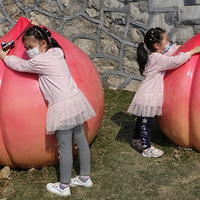 ��֮زز�������仪�����