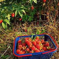 û�Թ�������ӣ���˵�Լ��ǳԻ���