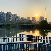 Ҧ�ҵ�����