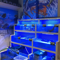 ������׾Ƶ꺣�ʸ����ʳ��к��ʸ����