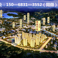 �ٰ�������������ѧ�� ���۸�,���,���͡������Ż�