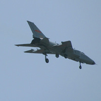 �Ұ����������