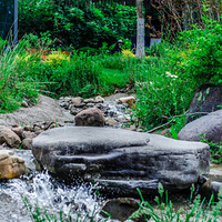 ��������˹���������