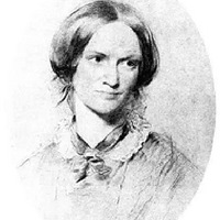 �ض��鵥 | �������������������â������ĸ߶�