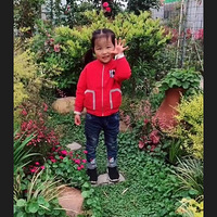 �����޷ŷ硿