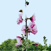 |����֮��--