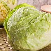 �㲻֪�����ļ���θС���ܣ�NC�����θ�����ػ�