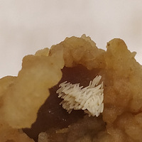 ϵ»׻Գ