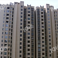 ��4��Ĵ��յ��Ǽٵģ������̣������� ���ң��������Ҳ������