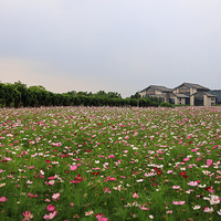 ��ɣ�������۷��������������ģ�С��л���