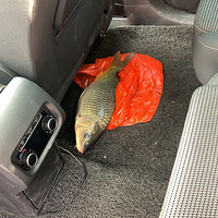 ����װ�������ˣ�����׼�����