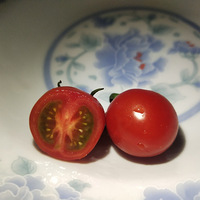 ���������ؼ��Ź���