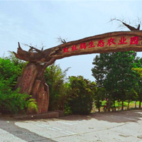 �Ͼ��˹������Ԣ����ԭ��������Ҳ�����úõ���������