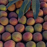 ���ʹ������ͣ��н���ҵ��λѧУʳ������