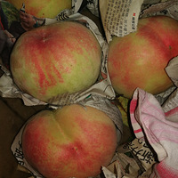 ��ũ������