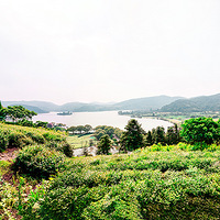 �ϱ������Ϻ�