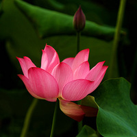 һ��ȥһ�Σ��������ĺɻ���