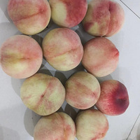 ����ˮ����÷�꼾�ڹ���ķ���