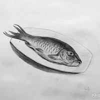 �������������ѵ�γ�����Щ