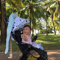 ������ս���������ӵ�����