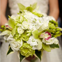 ��������רҵ�Ļ�����ѵ��