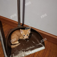 �Լ�Сè�����������1-2���´�
