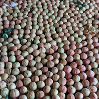 ����ˮ��������