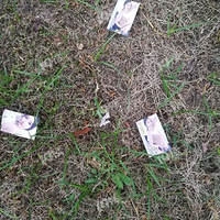 �̻����ݴԾ������ֿ�Ƭ