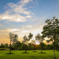 ˮ��һɫ�����־�Ⱦ���������