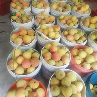 ��̫�ȣ���������ı�����ˮ����