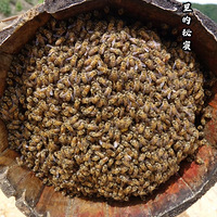 �������۲�