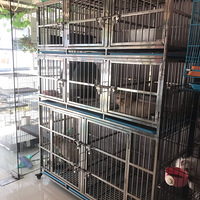 ������ҳ���� ͦʵ��