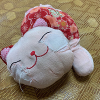 ���ֲ�ĸӤ�����Сè��