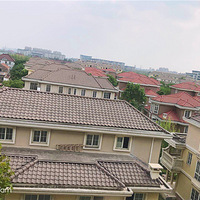 �������޳Ϻ����α���ǿ����Ϯ!ͼ�Ľ���!λ��