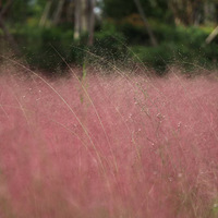 �����ˬ������˵����Ϻ��Ƴ���